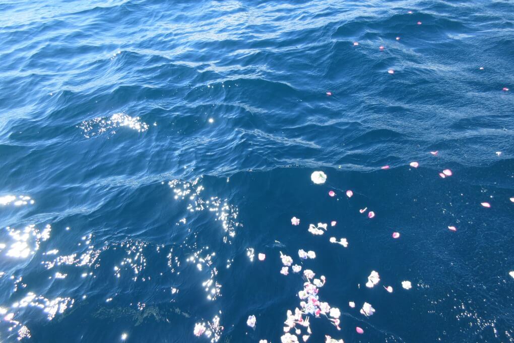 うみのおはかに広がる花びら