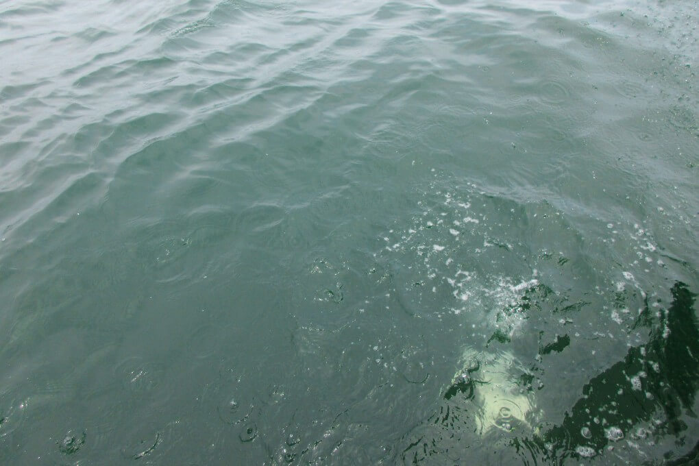 海に溶けていくご遺骨