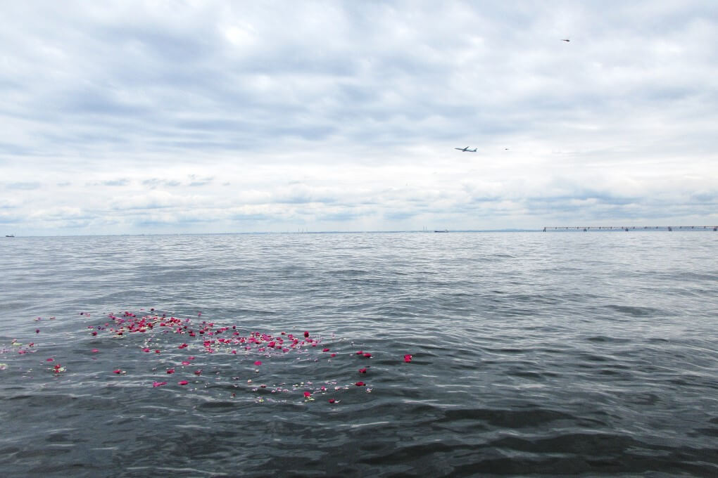 飛行機と海に浮かぶ花びら