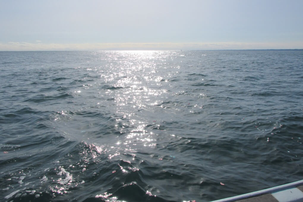 陽射しが降り注ぐなか最後のお別れ